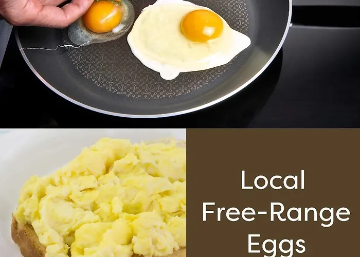 Sive Budget Hostel *